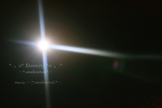 Photo by swallowtail c.jpg