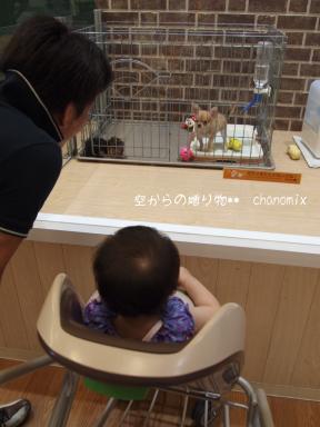 aiai　犬を見て大興奮！