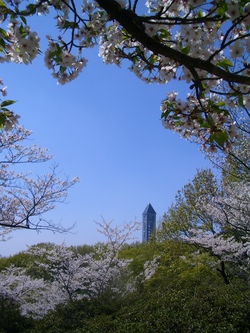 東山植物園　スカイタワー