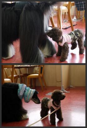 Picnik コラージュ18.jpg