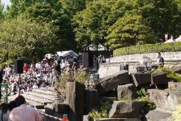 P1030873(1).JPG
