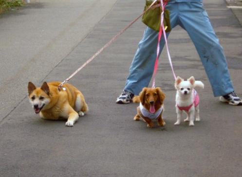 009 (1024x768) (2).jpg