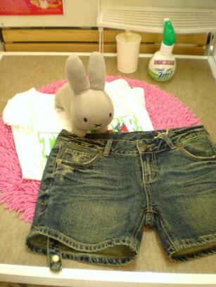 Ｃ・ＭＯＯＮの商品達 009.JPG