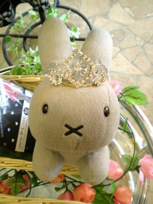 Ｃ・ＭＯＯＮの商品達 018.JPG