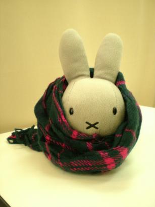 Ｃ・ＭＯＯＮの商品達 021.JPG