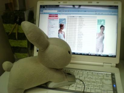 Ｃ・ＭＯＯＮの商品達 014.JPG