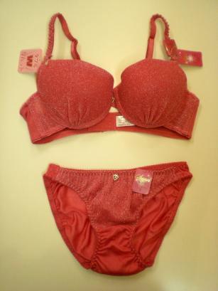 ブラ＋ショーツSET