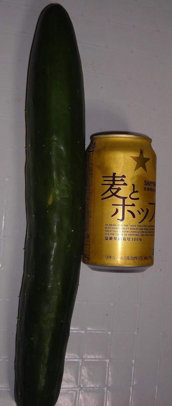 おばけとビール