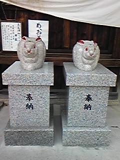 110504うさぎ神社-4