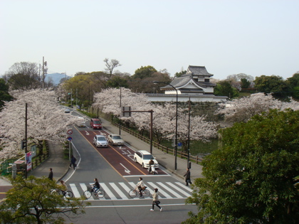桜03302
