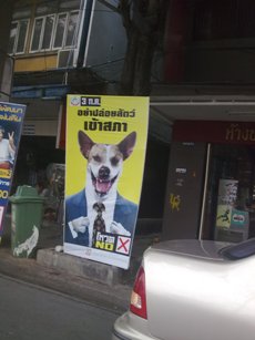 201106042281.jpg