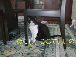 2010-01-09 02:16:30