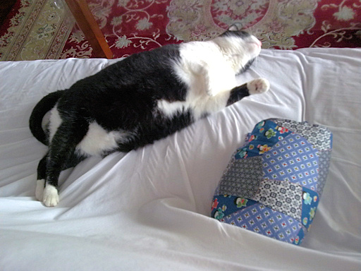 201003186355.jpg