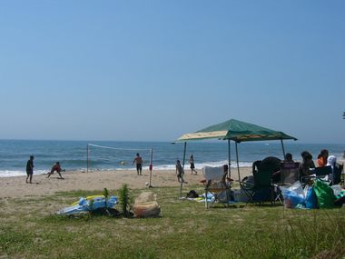 お店のおなかまさん