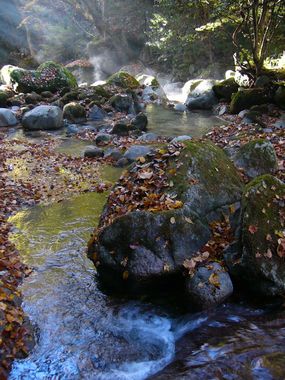 立ち上がる水蒸気