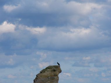 空のした