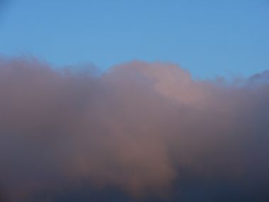 朝日を吸収して
