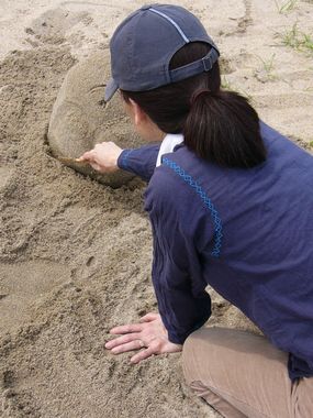 何になるでしょう？