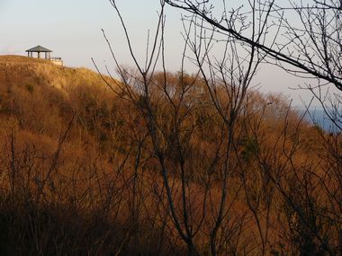 助川山山頂