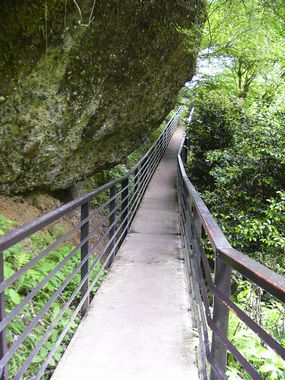 大きな岩の下を…