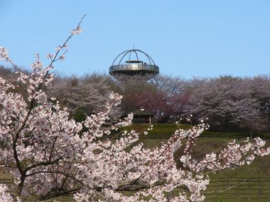 十王パノラマ公園遠景