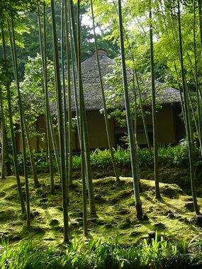 竹林と守護宅