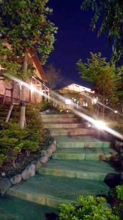 温泉.jpg