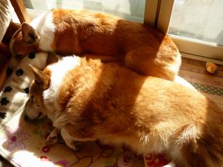 P1010729 (640x480).jpg