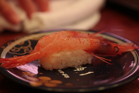 _MG_3282.JPG