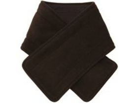 REGULUSiR[EA}es[ECeAEqʔ̃TCgj