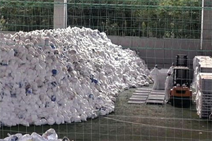 REGULUSiR[EA}es[ECeAEqʔ̃TCgj