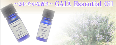 REGULUSiR[EA}es[ECeAEqʔ̃TCgj