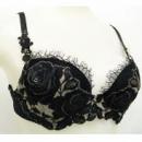 REGULUSiR[EA}es[ECeAEqʔ̃TCgj