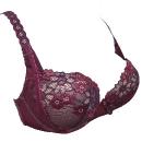 REGULUSiR[EA}es[ECeAEqʔ̃TCgj