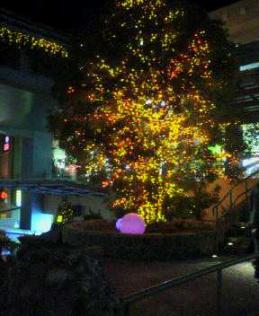 パークプレイス・3