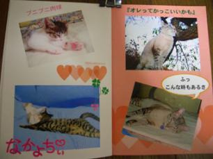 ちびにゃんさんより2328-01
