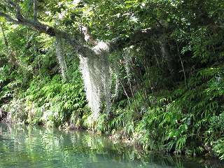 ビオスの丘 (6).jpg