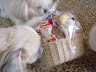 これ全部ラー子の！！