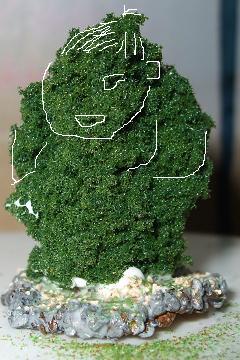 木