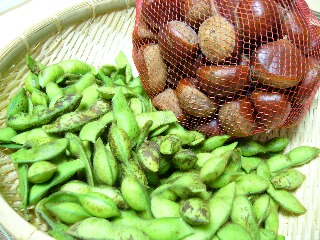 丹波の黒大豆の枝豆＆栗