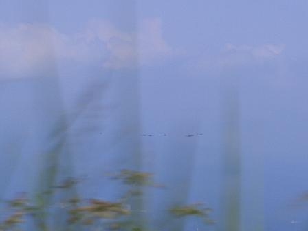 20070826ヘリ-2-