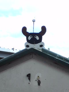 目がおかしい