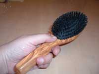 brush1