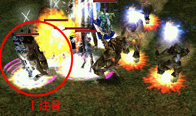 はだかをりさん