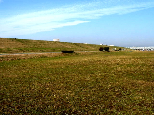 荒川河川敷