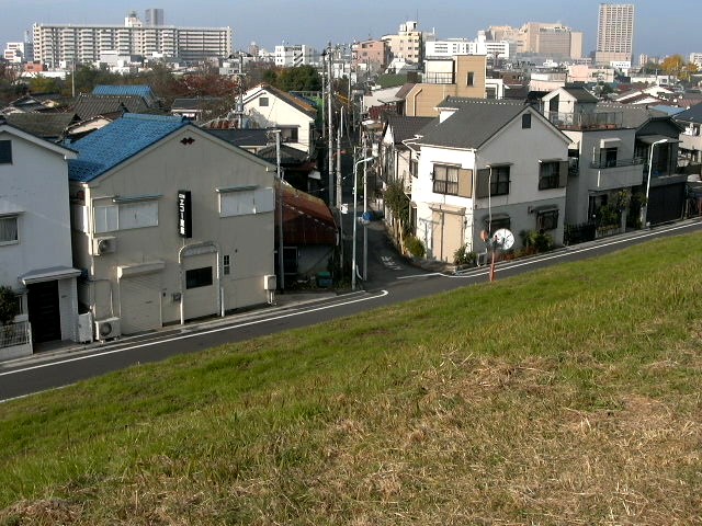 荒川土手晴天２