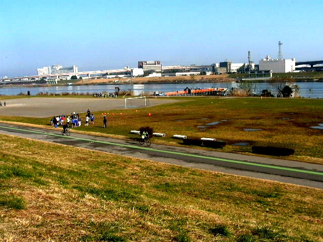 荒川土手晴天４