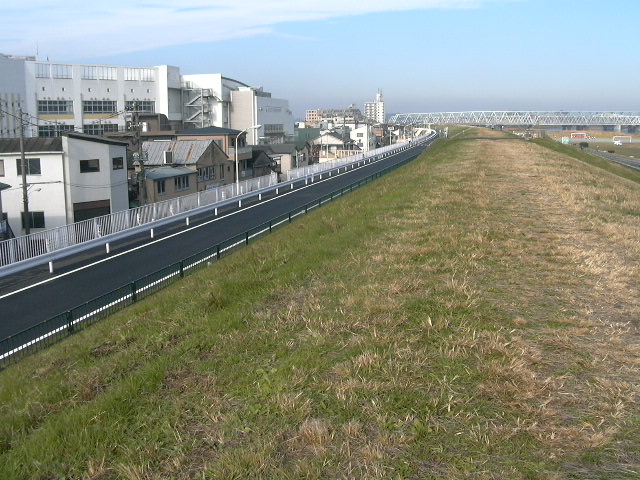 荒川土手晴天６