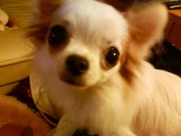 クレア　アップ