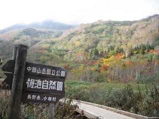 栂池自然園